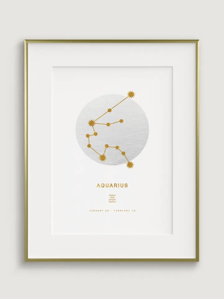Zodiac Sign Aquarius